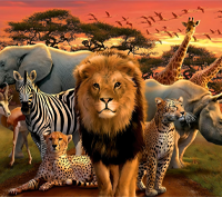 Spellen huren voor een safari feestje